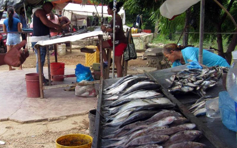 Vendedores De Pescado De Barcelona Reportan Incremento En Las Ventas