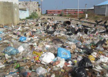 La basura crea un problema sanitario en la zona norte
