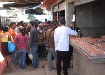 Queso y cartón de huevos alcanzaron los Bs 350 mil