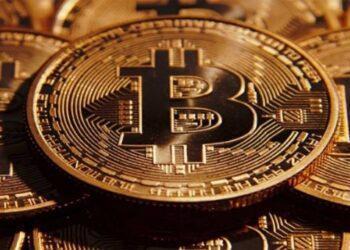 Petro genera incertidumbre por escasa información sobre sus mecanismos