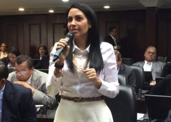 Delsa Solórzano asevera que no acompaña  el fraude electoral ni será cómplice