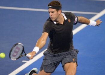 Del Potro: Luché hasta el último punto del partido