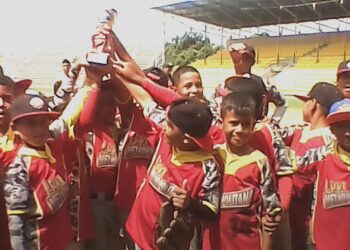 Liga Metropolitana se coronó campeón estadal de béisbol