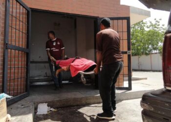 Un petrolero pereció al estrellar un carro contra un poste
