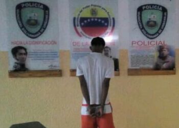 Capturaron a un supuesto robacelular