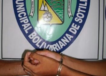 Capturaron a seis individuos por robo, hurto y estafa