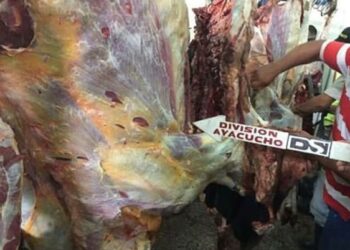 Capturaron a trabajador de Pdvsa por robo de reses en una finca