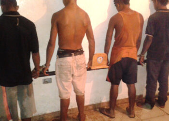 En Anaco desarticularon banda de ladrones de finca