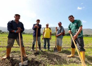 Ejecutivo de Maduro prevé producir mas de 13 millones de toneladas de alimentos para 2020