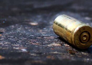 Ultimaron a un par de agentes policiales en el estado Miranda