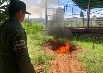 GNB destruyó casi cuatro kilogramos de droga
