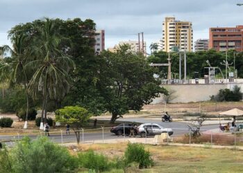 Cicpc ultimó a un par de supuestos ladrones de quintas