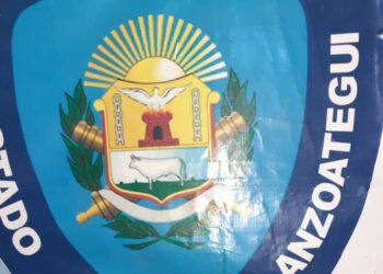 Apresaron a supuesta distribuidora de droga y a robacelulares