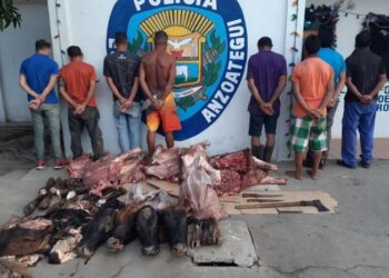 Cayeron presos ocho presuntos ladrones de ganado