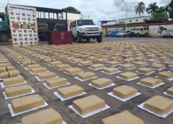 Capturaron a falso militar con 400 kilos de marihuana en Bolívar