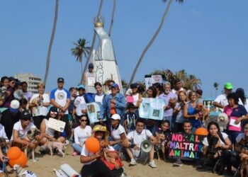 “Angelitos con Patas” rescata animales en Anzoátegui