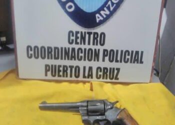 Detuvieron a una jovencita con un arma de fuego