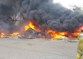 Bomberos sofocaron incendios de dos lanchas y vegetación