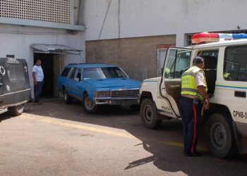 Ama de casa murió al salirse de una gandola