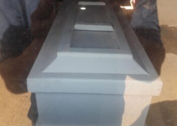 En Guanta murió un niño tras ser mordido por un animal