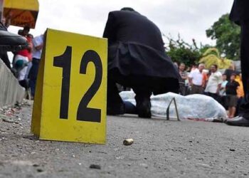 Perdomo aseguró que 5.076 jóvenes venezolanos fueron asesinados en 2019