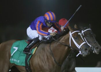 Entrenadores y veterinarios, acusados por dopaje de caballos