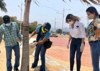 Día de la tierra fue conmemorado con mantenimiento de árboles