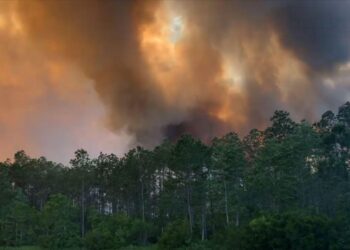 Cientos de personas evacuadas mientras se desatan incendios forestales en el Panhandle de Florida