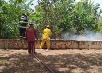 Bomberos extinguieron incendio de vegetación en la avenida Intercomunal