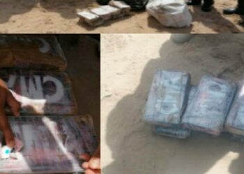 Autoridades confirman hallazgo de 24 panelas de cocaína en playas de Falcón