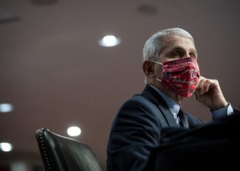 Fauci: posibles 100.000 casos diarios de COVID-19 en Estados Unidos