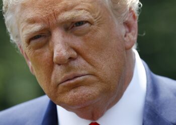 Trump habla menos del virus; estados buscan apoyo local