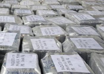 EEUU: Producción de cocaína en Perú se dispara 40%
