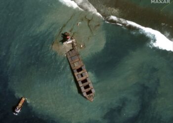 Miles marchan en Mauricio por derrame de petróleo y delfines muertos