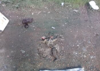 Hallaron el cadáver de un infante en estado de descomposición en Puerto La Cruz