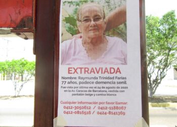 Ama de casa está desaparecida