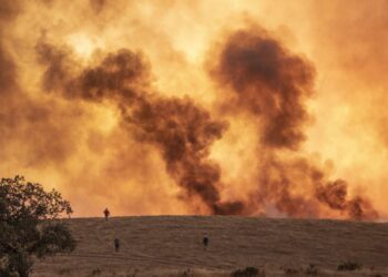 Los incendios forestales obligan a más de 3.100 a evacuar en la Andalucía española