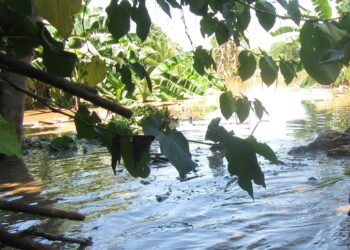 Joven comerciante murió ahogado en río Poza Azul