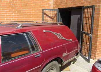 De dos balazos mataron a un individuo en el barrio Colinas de Valle Verde