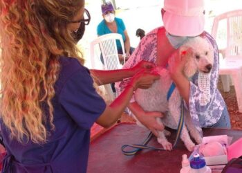 Jornada atendió animales de compañía en Barcelona