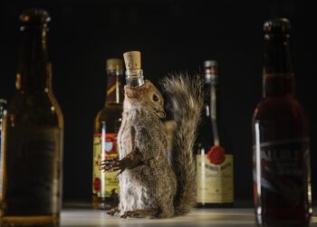 Suecia presenta exposición de tragos asquerosos