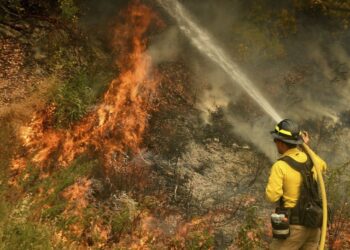 10 muertos mientras el incendio de California se convierte en el más mortífero del año