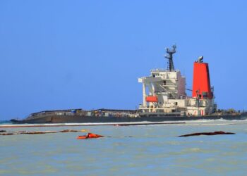 Miles marchan en Mauricio para protestar por el desastroso derrame de petróleo