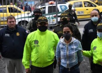 Detuvieron a venezolana que usaba a sus hijos para pornografía infantil