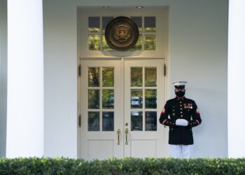 Asesor de Trump: "No vamos a controlar la pandemia"