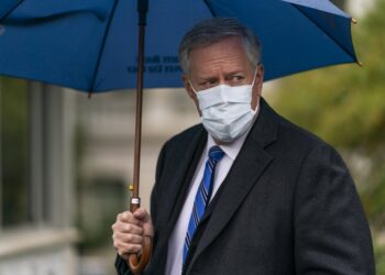 Meadows: "no vamos a controlar el virus"
