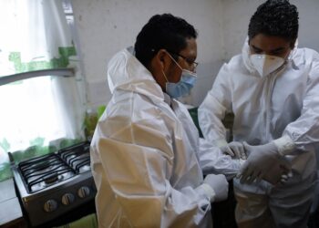 México: Casi 82.000 muertes por COVID-19 tras ajuste de datos