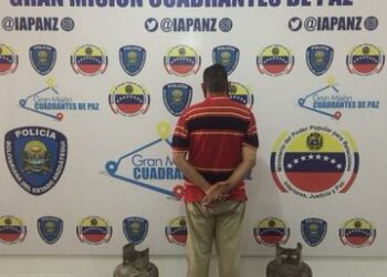 Oficiales capturaron a presuntos ladrones y recuperaron piezas robadas