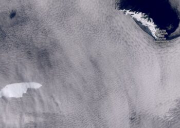 Iceberg flota hacia Georgia del Sur y pone en riesgo la vida silvestre