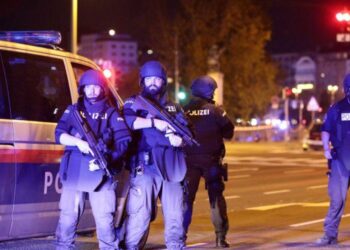 Al menos un muerto en presunto ataque terrorista en Viena